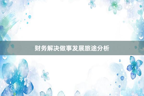 财务解决做事发展旅途分析