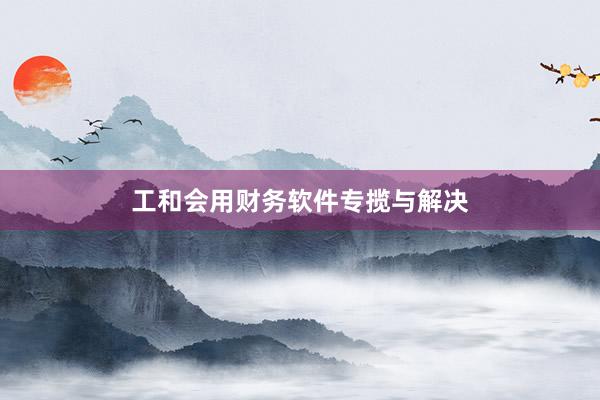 工和会用财务软件专揽与解决